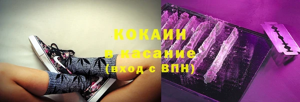 гашик Белокуриха