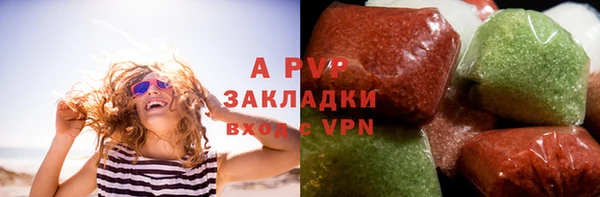 гашик Белокуриха