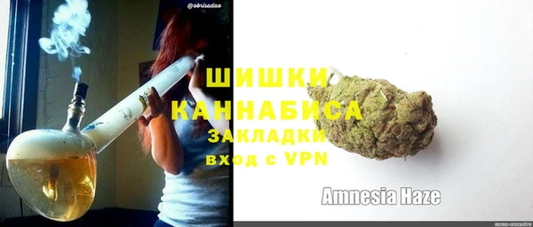 гашик Белокуриха