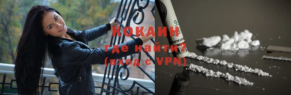 гашик Белокуриха