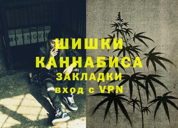гашик Белокуриха