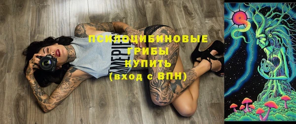 гашик Белокуриха