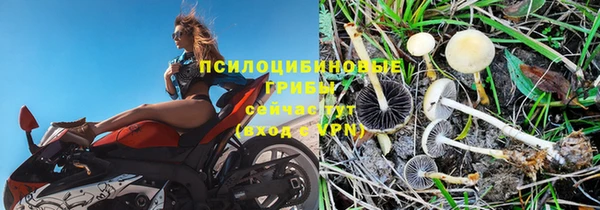 метадон Белоозёрский