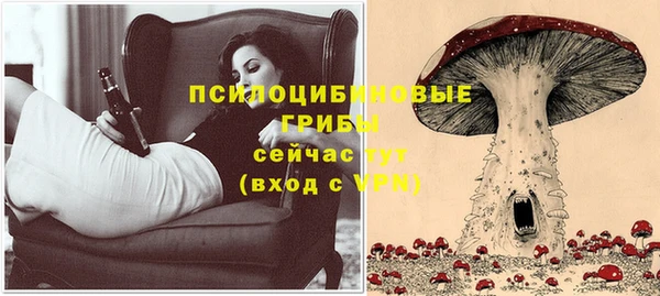 гашик Белокуриха